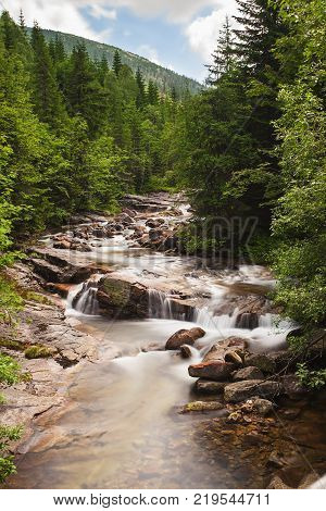 River Elbe in the beginning of journey in Krkonose national park, Czech Republic