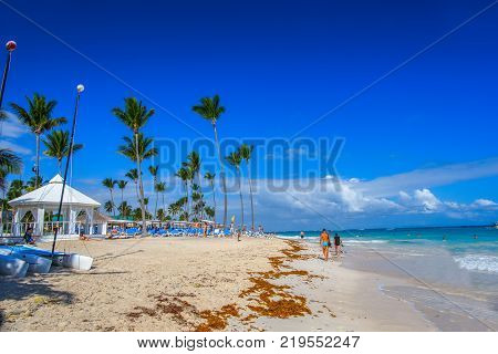 The Dominican Republic. Sargas algae thrown on the beach. Sun beds and vacationers.