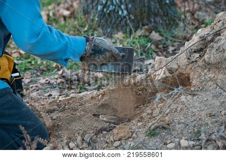 The trapper has set the fur bearer trap and is now sifting dirt to cover over the bainted trap.