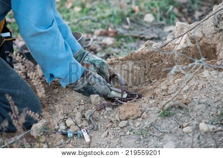 The trapper is carefully placing the spring coil trap inside the prepared hole in the ground. The photographer captured a bokeh effect.