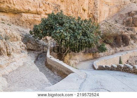 The path leading to the monastery of St. George Hosevit (Mar Jaris) in Wadi Kelt near Mitzpe Yeriho in Israel