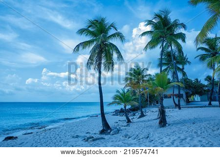 Tropical beach with a cloudy sky (Catalina island, Dominican Republic).