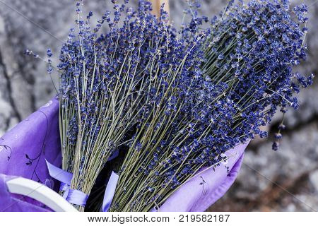 Bunches of lavender flowers in a wicker basket
