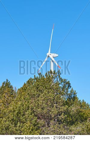 White and red wind turbine on a clear blue sky with trees. Sustainable resource