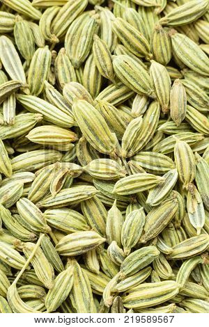 Zoomed in macro photo of fennel seeds