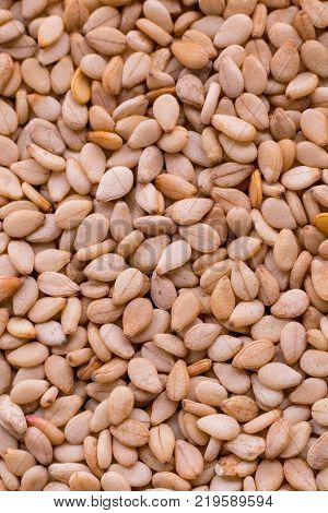 Zoomed in photo of sesame seeds which are good source of omega 3 fats