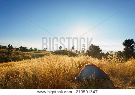 outdoors camping grass highlands mountain in the Sunset.