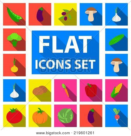 Different kinds of vegetables flat icons in set collection for design. Vegetables and vitamins vector symbol stock  illustration.