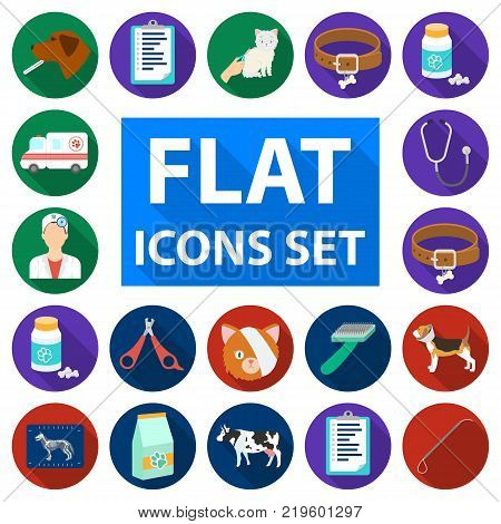 Veterinary clinic flat icons in set collection for design. Treatment of a pet vector symbol stock  illustration.