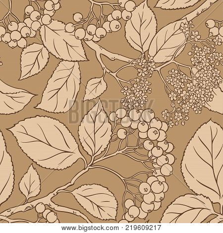 black rowan vector pattern on color background