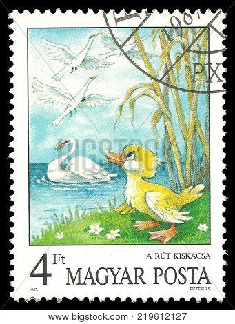 Hungary - circa 1987: Stamp printed by Hungary Color edition on topic of Fairy Tales shows The Ugly Duckling by Andersen Aesop's Fables circa 1987
