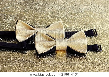 Two festive golden with a black bow tie on a gold background