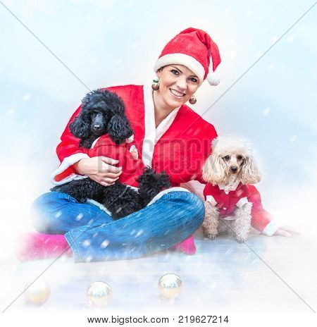 Cheerful young woman in christmas outfit accompanied by two sweet poodles