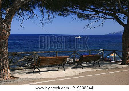 Empty bench stands under the czpresses, Sardenia, Itali