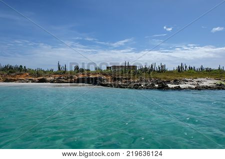 View of Cubagua island with rocks and tropical vegetation (Venezuela).