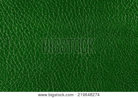 Texture of artificial leather. Background or backdrop of dark green leatherette. Deep embossing.