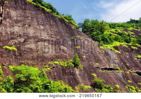 A rock cliff lining the nine bend river or Jiuxi in Wuyishan or Mount wuyi scenic area in Wuyi China in fujian province