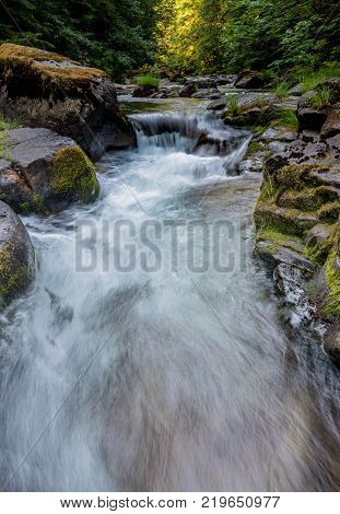 Water Rushes Through Brice Creek in Oregon Wilderness