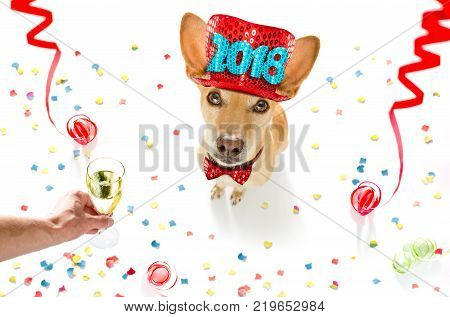 Basketball Player Dog