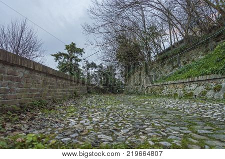 Clay way around the green trees. Countryside passway