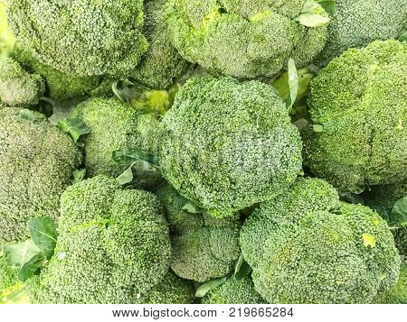 Closeup surface pile of fresh broccoli textured background