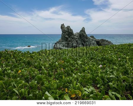 Travel photography seascape with tropical green vegetation next to Caracas  Venezuela 