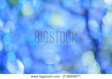 Christmas Led Lights In The Form Of Flowers, Blue Bokeh, Selected Focus