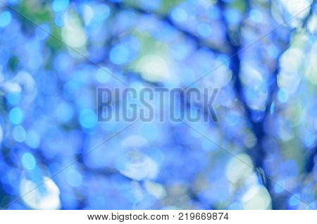 Christmas Led Lights In The Form Of Flowers, Blue Bokeh, Selected Focus