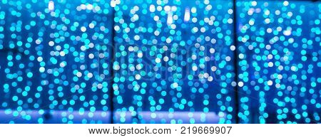 Christmas Led Lights In The Form Of Flowers, Blue Bokeh, Selected Focus