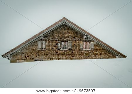 The 