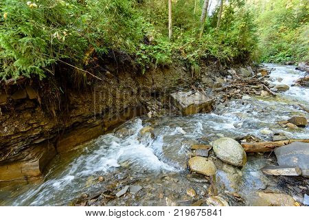 Mountain River In Summer. Bialka River, Poland