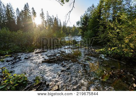 Mountain River In Summer. Bialka River, Poland