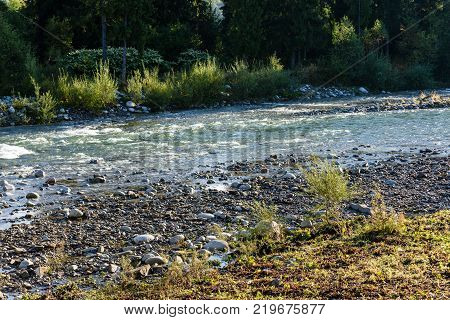 Mountain River In Summer. Bialka River, Poland