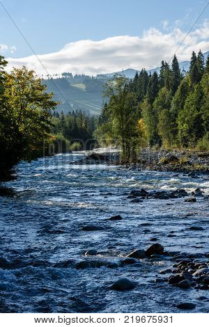 Mountain River In Summer. Bialka River, Poland
