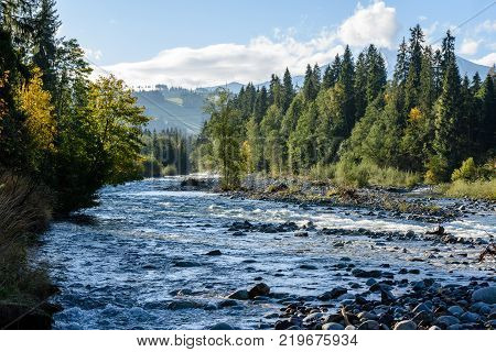 Mountain River In Summer. Bialka River, Poland