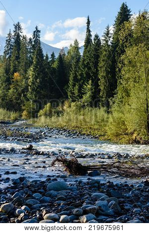 Mountain River In Summer. Bialka River, Poland