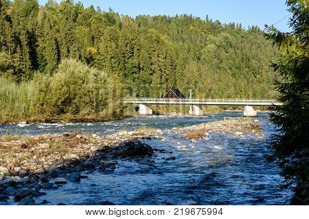 Mountain River In Summer. Bialka River, Poland
