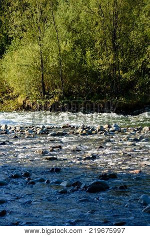 Mountain River In Summer. Bialka River, Poland