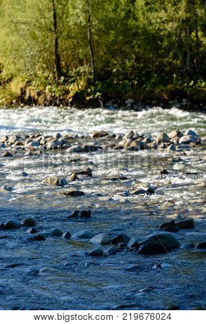 Mountain River In Summer. Bialka River, Poland