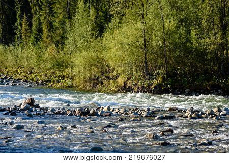 Mountain River In Summer. Bialka River, Poland