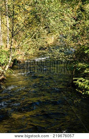 Mountain River In Summer. Bialka River, Poland