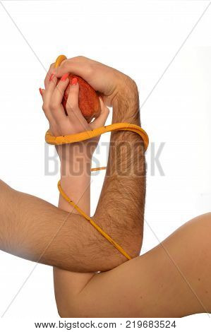 Metaphorical image of the symbolism of Adam and Eve 006