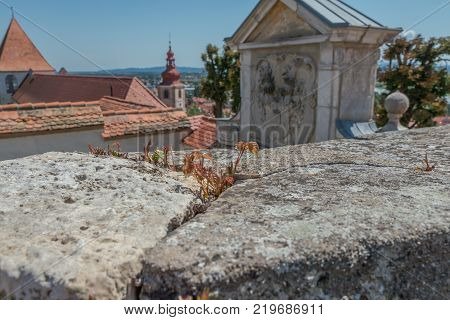 Ptuj / Slovenia - August 17, 2017: Wall of the castle of Ptuj on the Drava river