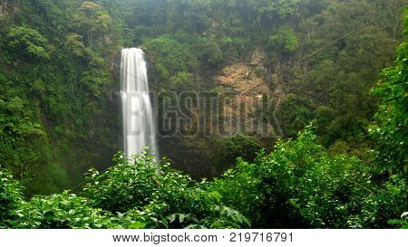 waterfall falls from the cliff in the middle of rain forest