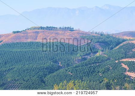 Hills covered with Avocado and Orange Groves surrounded by mountainous terrain taken in Simi Valley, CA