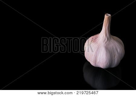garlic head on a black background close up