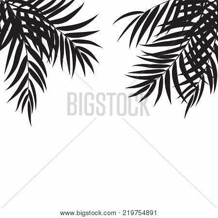 Beautifil Palm Tree Leaf  Silhouette Background Vector Illustration EPS10