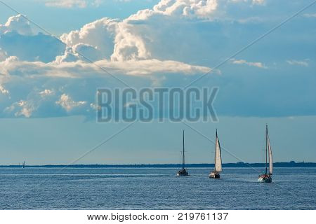 Sailboats Traveling By Baltic Sea