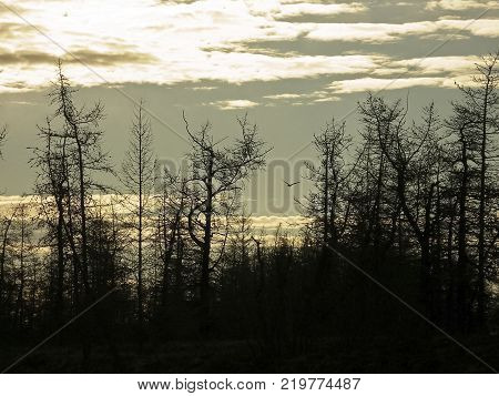 Landscape of the sunset. Beautiful sky. The colors of sunset