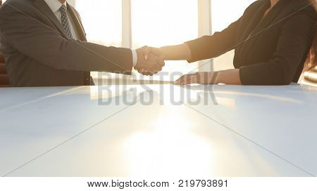 Friendly smiling business people  handshaking after pleasant tal